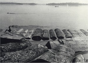 Blocks of wood in a river, in Cameroon