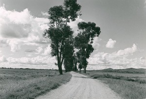 Road in the countryside, in Madagascar