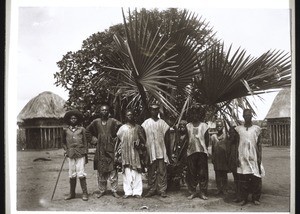 Fan-palms in Fumban and some natives