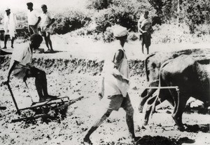 Agricultural work in Ambositra, Madagascar