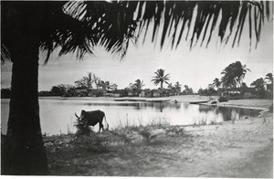 Landscape, in Madagascar