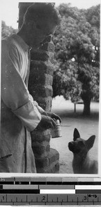 Father Collins feeding a dog, Musoma, Tanzania, Africa, 1949