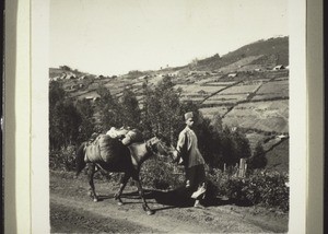 Badaga farmer