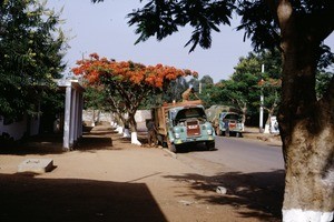 Omais street, Ngaoundéré, Adamaoua, Cameroon, 1953-1968