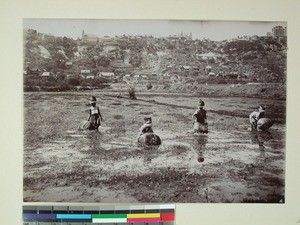 Women fishing in the Anosy lake, Mahamasina, Antananarivo, Madagascar, ca.1890