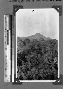 Landscape, Clarkson, South Africa, 1930