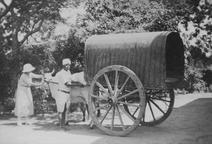 Cuddalore, South Arcot, India. Missionary Ellen (Jensine) Lindenmayer with her carriage. (Sent