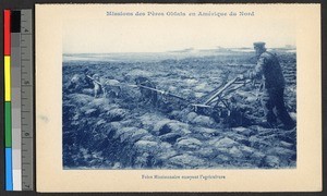 Missionary father guiding a dog-drawn plow over a field, Canada, ca.1920-1940