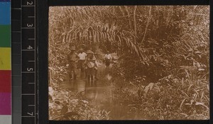 Missionary party travelling through a swamp, Sierra Leone ca. 1927-28