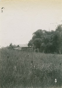 House in Gabon