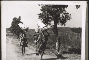 Haussa auf der Wanderschaft