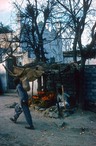 Pakistan, NWFP. Gadebillede i Peshawar med Alle Helgens kirken (All Saints' Church) i baggrunden. Også kaldet Moskekirken