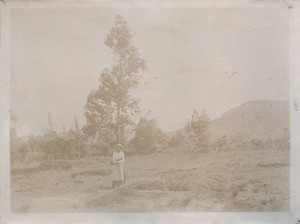 Missionary woman, in Madagascar