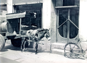 Petroleum wagon