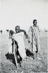 Young shepherds in Qalo