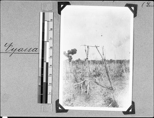 Gate at the entrance of a village, Nyasa, Tanzania, 1936