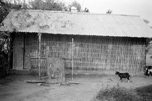 Bangladesh Lutheran Church/BLC. A village church. (Location?)