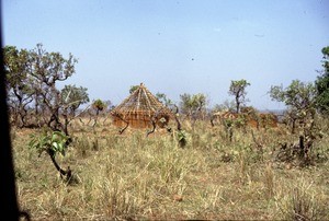 Construction of houses on the savannah, Adamaoua, Cameroon, 1953-1968