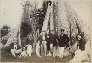 Root of the silkcotton tree on the previous picture