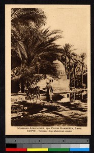 Tomb shaded by palms, Egypt, ca.1920-1940