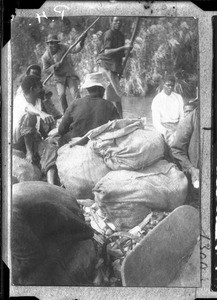 African men transporting maize on the Incomáti, Antioka, Mozambique