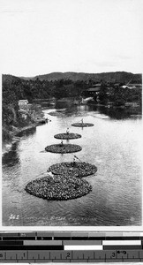 Coconut rafts, Philippines, ca. 1920-1940