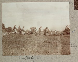 Stone transport, Tanzania