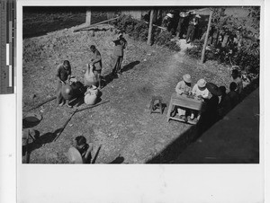 Distribution of rice at Wuzhou, China, 1950