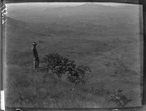 Landscape near Shilouvane, South Africa, ca. 1901-1907