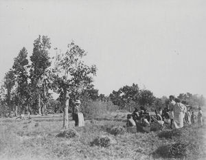 Kaerabani, Santal Parganas, Nordindien. Pastor Rasmus Rasmussen Rosenlund viser bibelske billeder for en flok lokale (hedninge), der er i færd med at høste deres ris