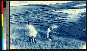 Two people looking down on rice paddies from a grassy hillside, Madagascar, ca.1920-1940