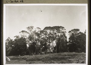 View Hill, Ferienhaus d. B. M. Kotageri