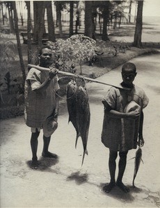 Men carrying fishs in Madagascar