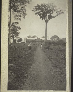 Abouri. Sanatorium du Gouvernement. Avec arbre cotton-soie