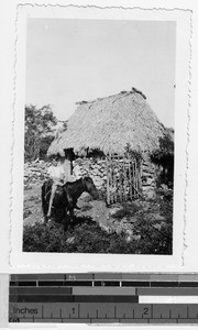 Boy sitting on a horse in front of a house with stone walls, Mexico, ca. 1944