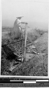 Japanese farmer irrigating a field, Japan, ca. 1920-1940