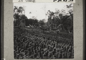 Drying bricks. The kiln in the background