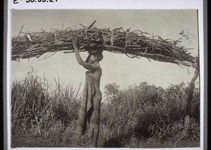 A woman carrying firewood in Bamum