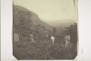 "On the Volta. A yam farm near Anum"