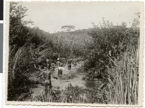Workers floating wood, Ethiopia, ca.1929-1931