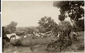 Camp at the Tolequalado, Ethiopia, 1928