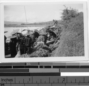 Loading sampans in Pingnan, China, 1937