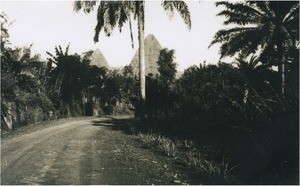 Road of the Grassfield region, in Cameroon