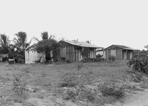 Grunden, hvor man vil bygge den nye sundhedsklinik i Sambava, Madagaskar, i 1987