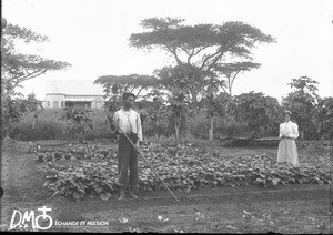 Mrs Liengme with an African gardener, Elim, Limpopo, South Africa, ca. 1896-1911