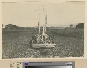 Barge on Shire River, Malawi, ca.1925