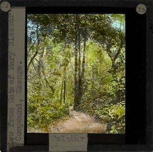 "View from Gate of Mary Slessor's Compound, Ekenge", Calabar, late 19th century