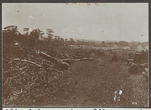 Slash-and-burned land, Tanzania