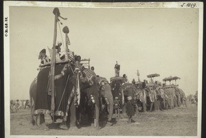 Elefanten Parade bei der Krönung von König Eduard