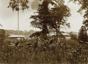 Pflugfelders, in Cameroon